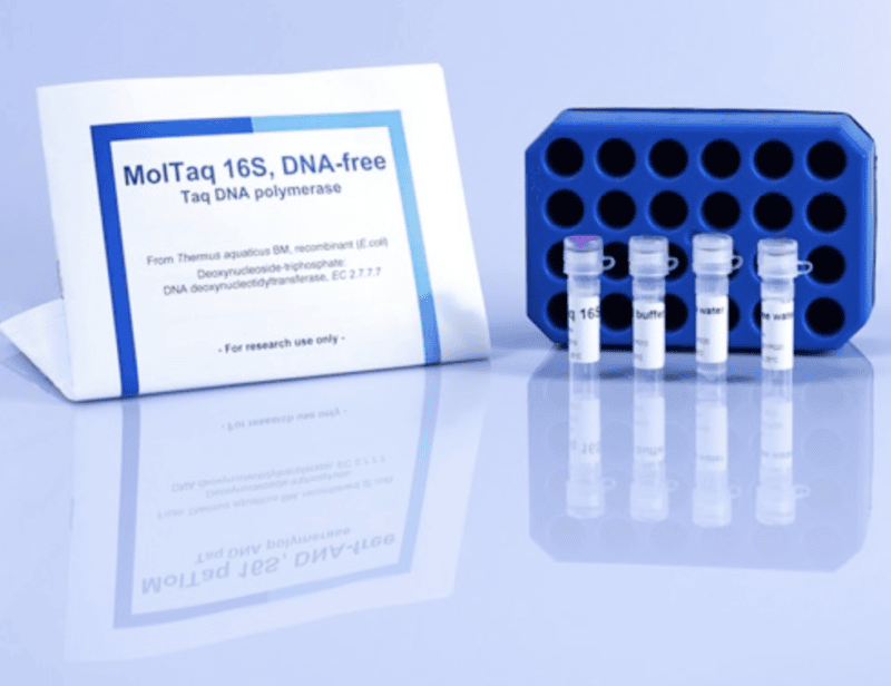 MolTaq 16S/18S Polymerase