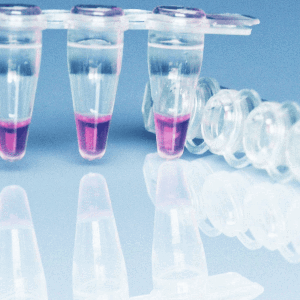Eubacterial Sequencing Primers Kit
