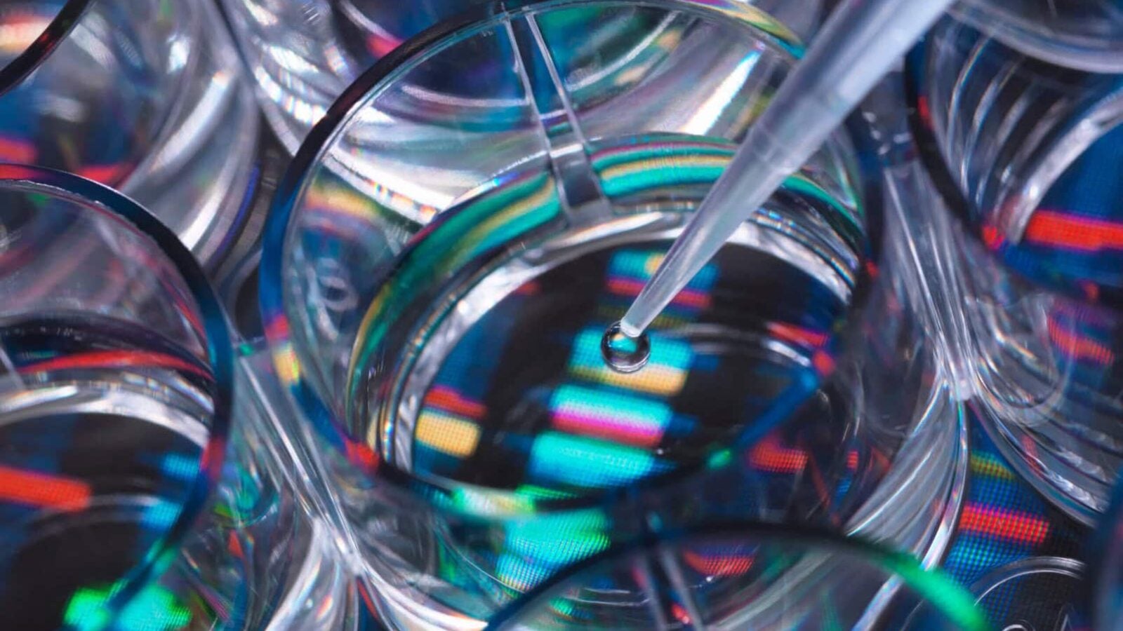 Pioneering Genetic Insights: A Goffin Molecular Technologies Spotlight