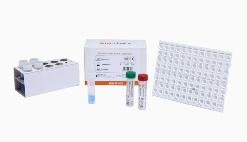 Ampliquick Leptospira