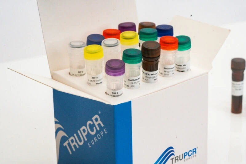 Bacterial & Fungal Meningitis PCR Panel Kit - Image 3