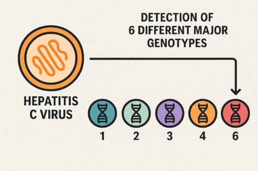 Hepatitis C virus (HCV) PCR assay kit setup on real-time PCR instrument