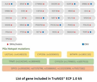 Endometrial Cancer NGS Panel detecting SNVs, Indels, and CNVs in 31 genes and 6 pharmacogenomics hotspots