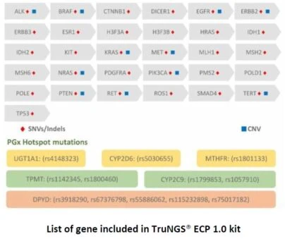 Endometrial Cancer NGS Panel detecting SNVs, Indels, and CNVs in 31 genes and 6 pharmacogenomics hotspots