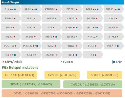 NGS Solid Tumor Panel detecting SNVs, Indels, CNVs, and RNA fusions in 35 actionable genes and 6 pharmacogenomics hotspots