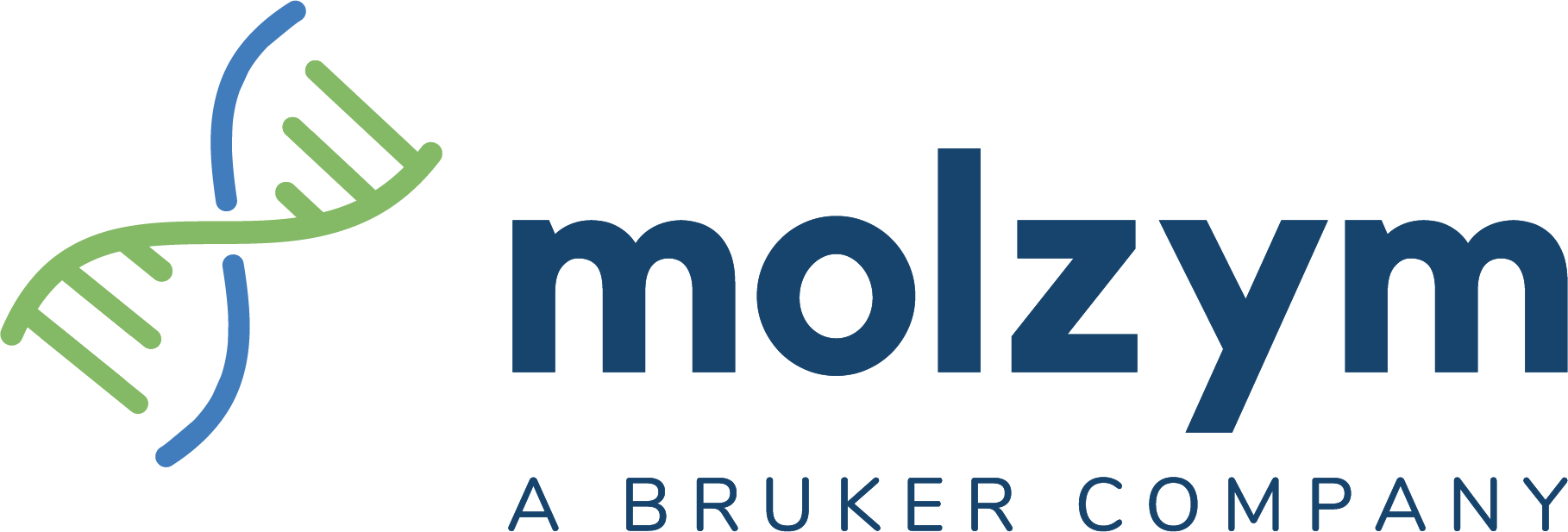 Molzym